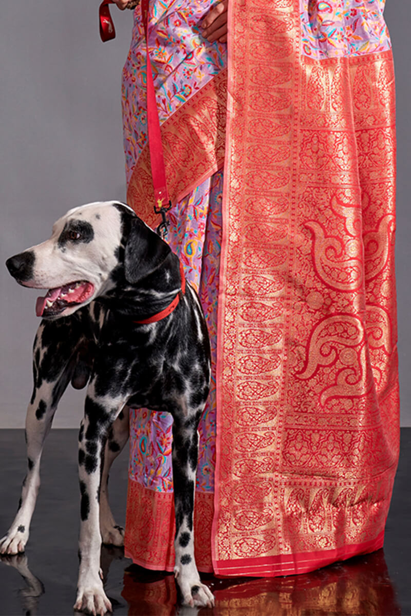 Pale Lavender Kashmiri Modal Silk Saree