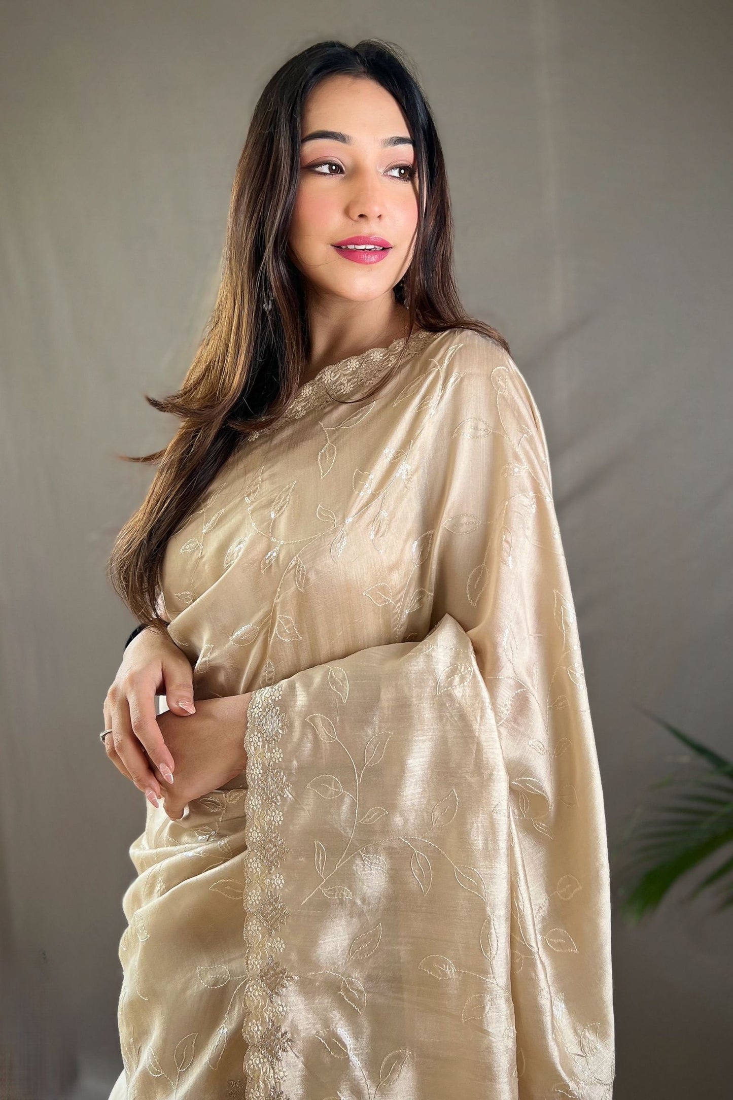 Chickoo Sequins Work Silk Saree with Embroidered Border