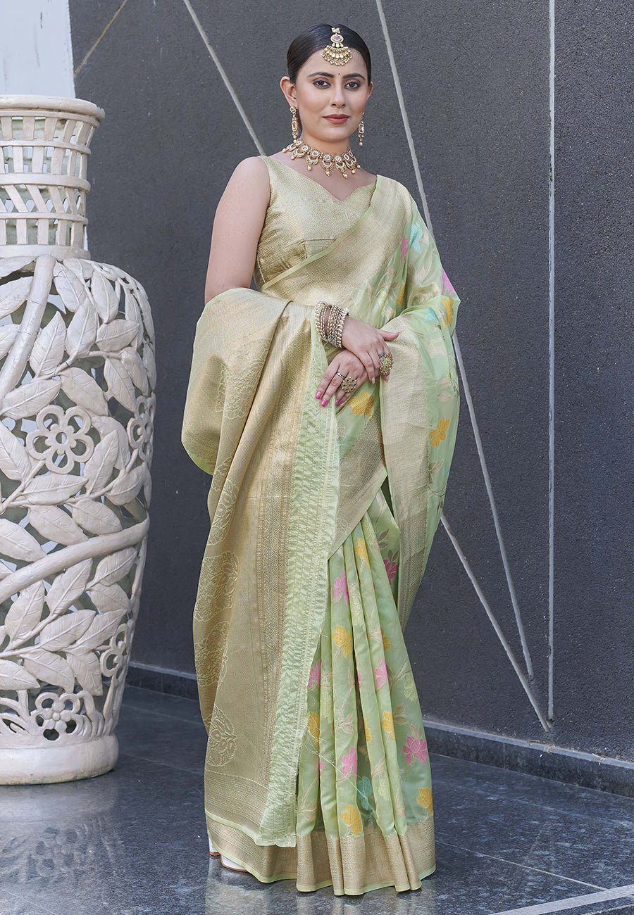 Pastel Green Organza Jaal Zari Woven Saree