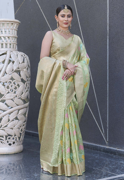 Pastel Green Organza Jaal Zari Woven Saree