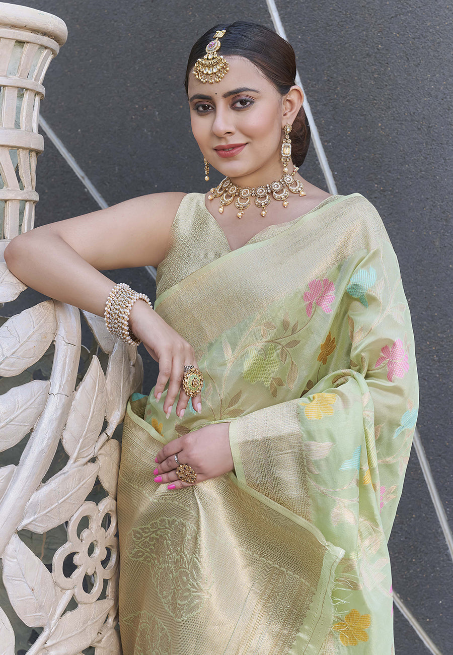 Pastel Green Organza Jaal Zari Woven Saree