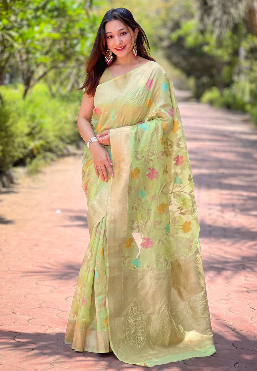Mint Green Organza Meenakari Floral Jaal Zari Woven Saree