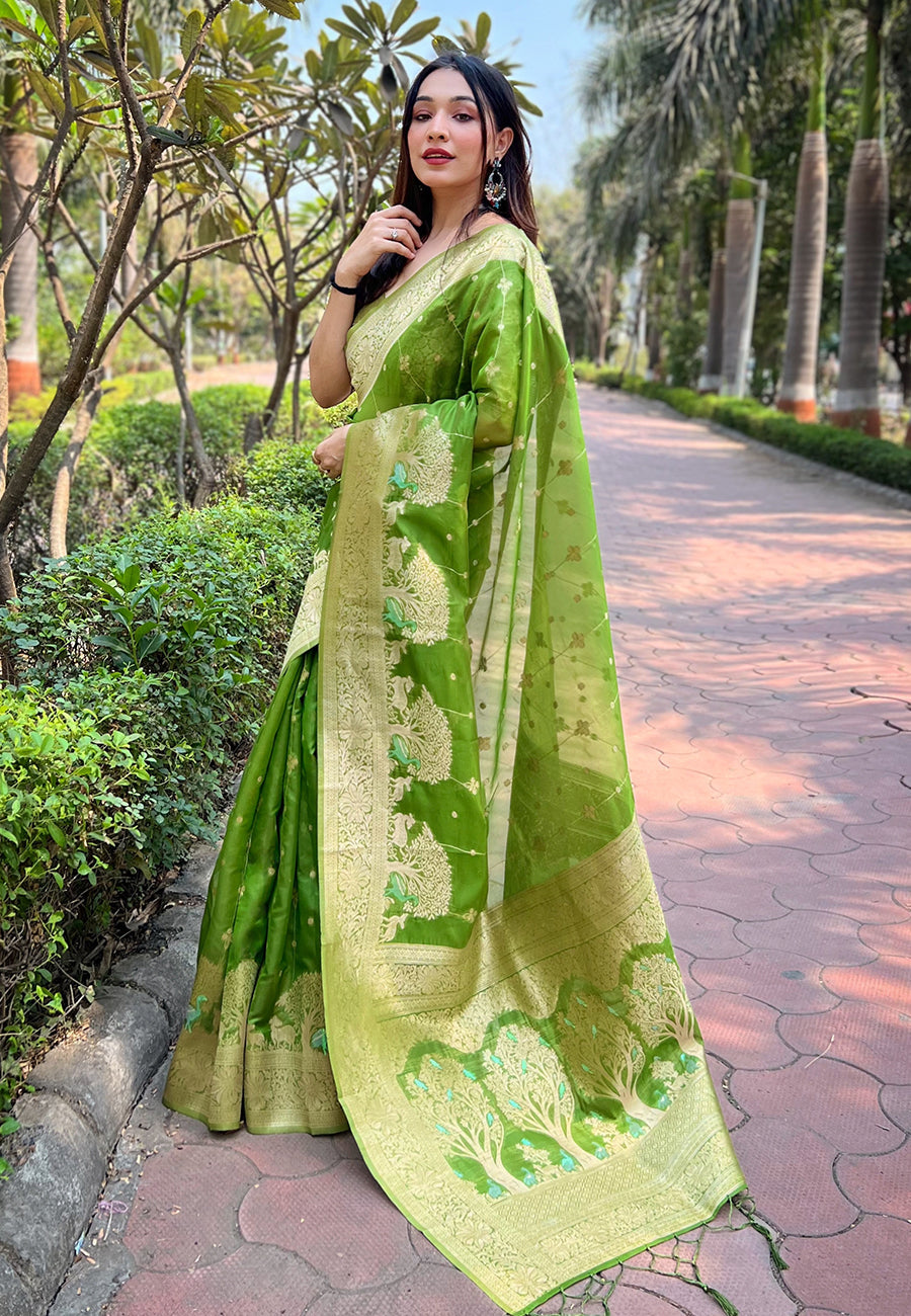 Parrot Green Organza Floral Rainbow Zari Woven Unique Saree with Unstitched Blouse