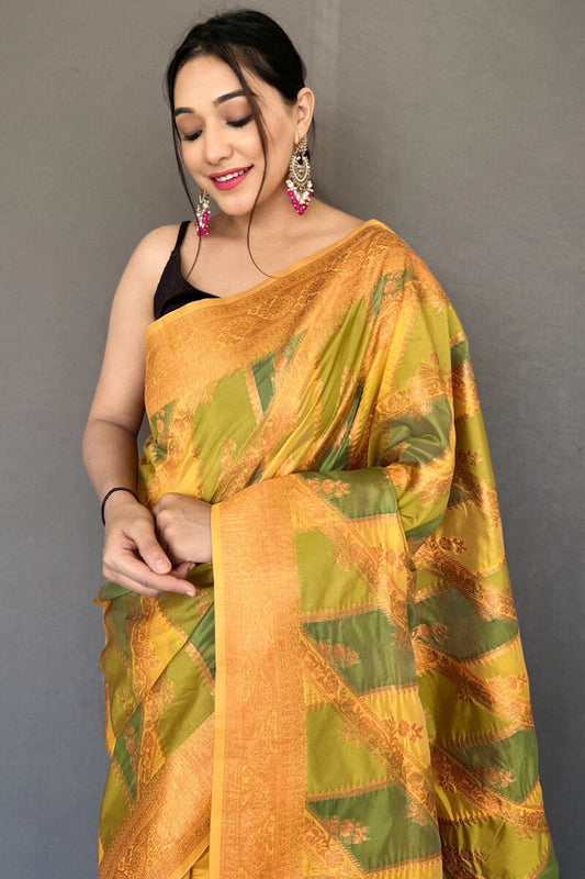 Drab Green Banarasi Tissue Silk Saree