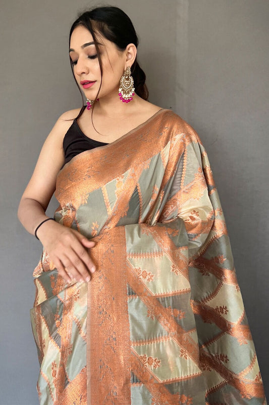 Regent Grey Banarasi Tissue Silk Saree